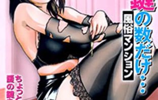 Ai wa kagi no kazu dake fuuzoku mansion 1