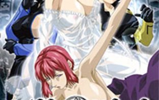 Bible black new testament 2