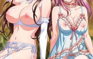 Yakata kannou kitan 2